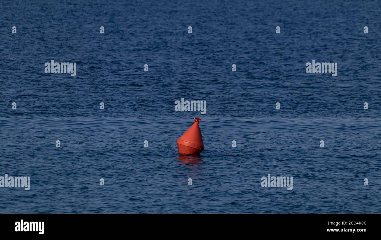 Boa di mare immagini e fotografie stock ad alta risoluzione - Alamy