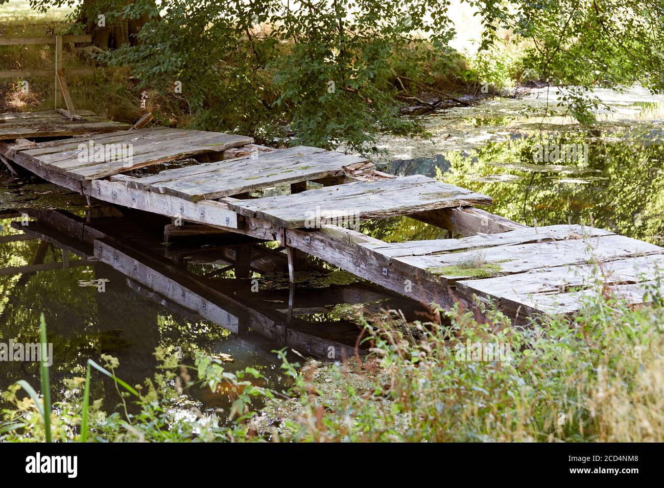 Decrepit ponte di legno attraverso stagno tra gli alberi Foto Stock