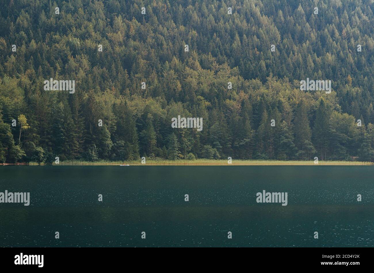 Silhouette giovane uomo galleggia su paddleboard di nuovo sfondo della foresta. Lago di Vorderer langbathsee, Alpi austriache Foto Stock
