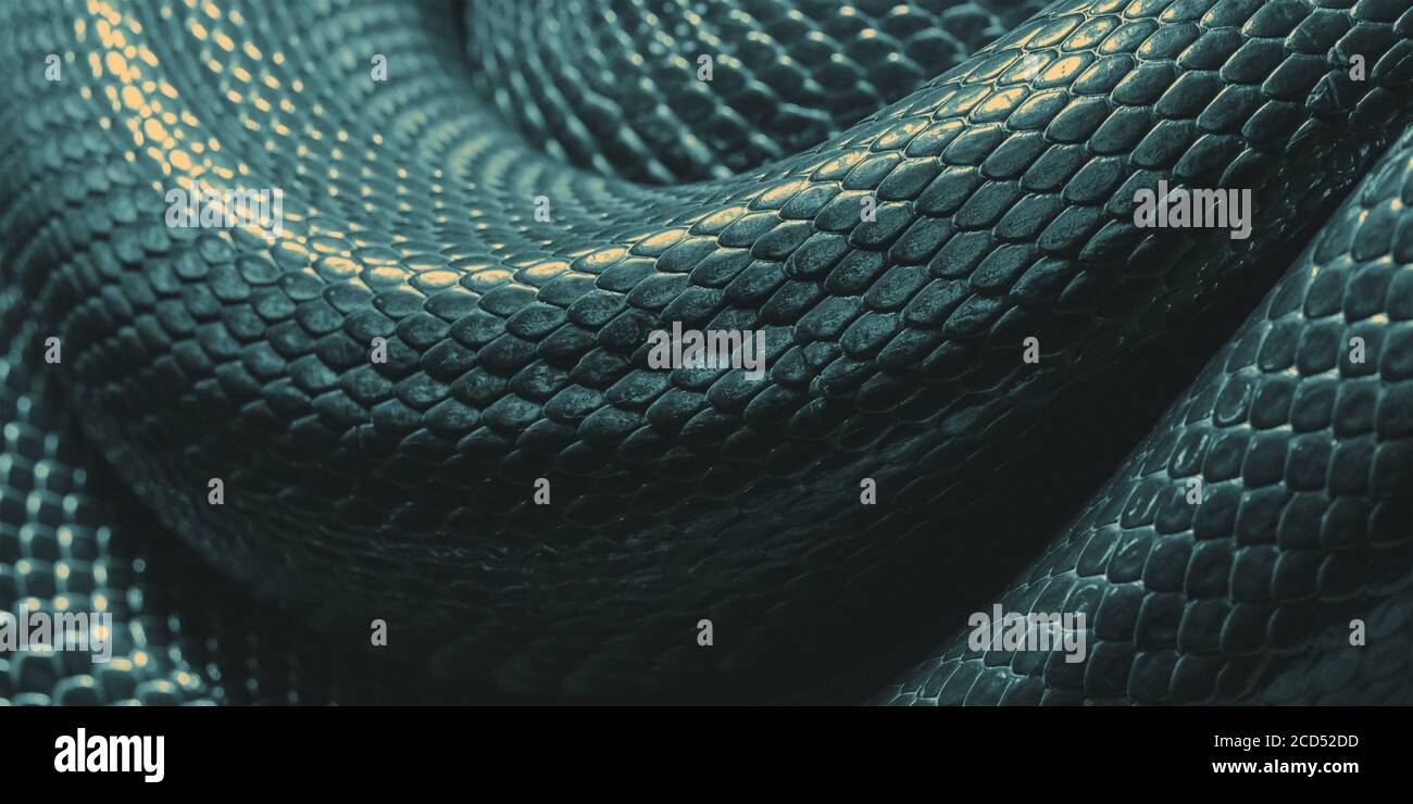 Tessuto della pelle di serpente. Primo piano. Superficie di sfondo Foto Stock