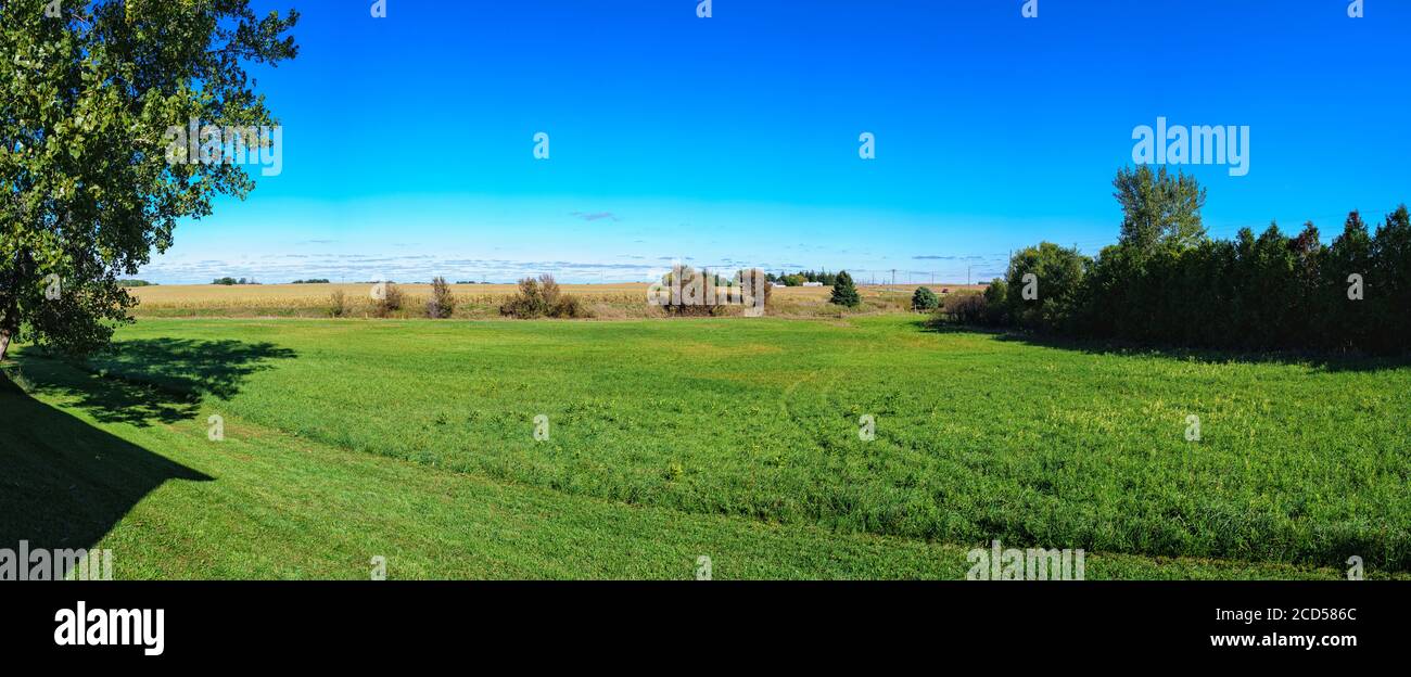 Terreno agricolo tra cascina e campi di mais nel Buffalo Center, Iowa, USA Foto Stock