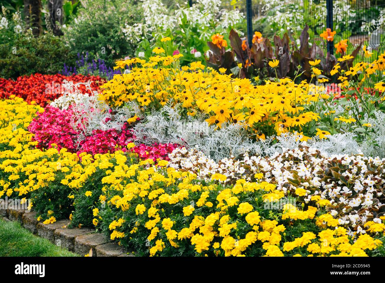 Fiorito con fiori colorati, Rhodendron Garden, Point Defiance Park, Tacoma, Washington state, USA Foto Stock