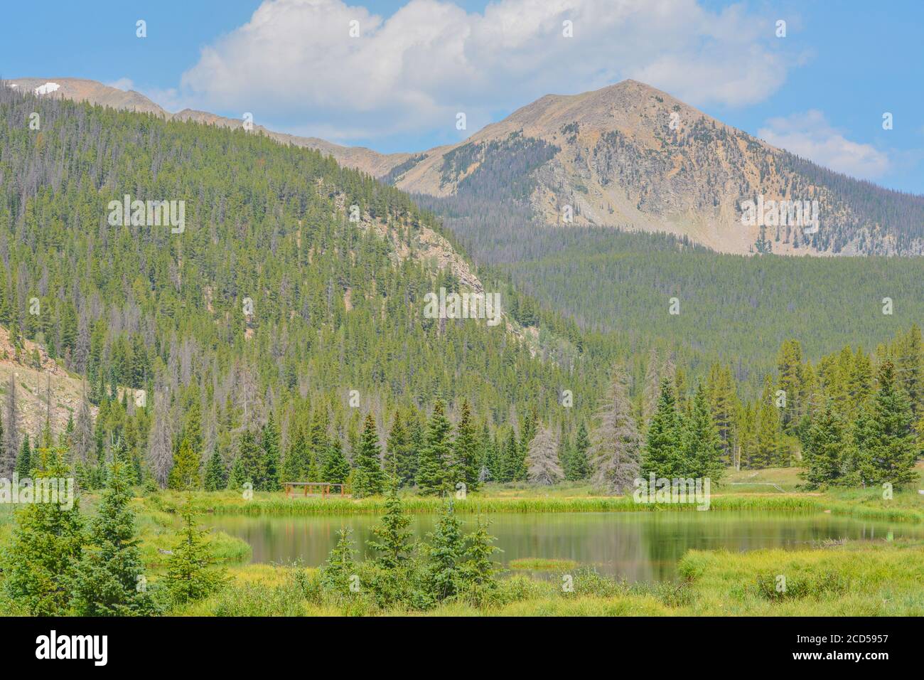 Splendide montagne, foreste e paesaggi vicino al Monarch Pass nelle Montagne Rocciose del Colorado Foto Stock