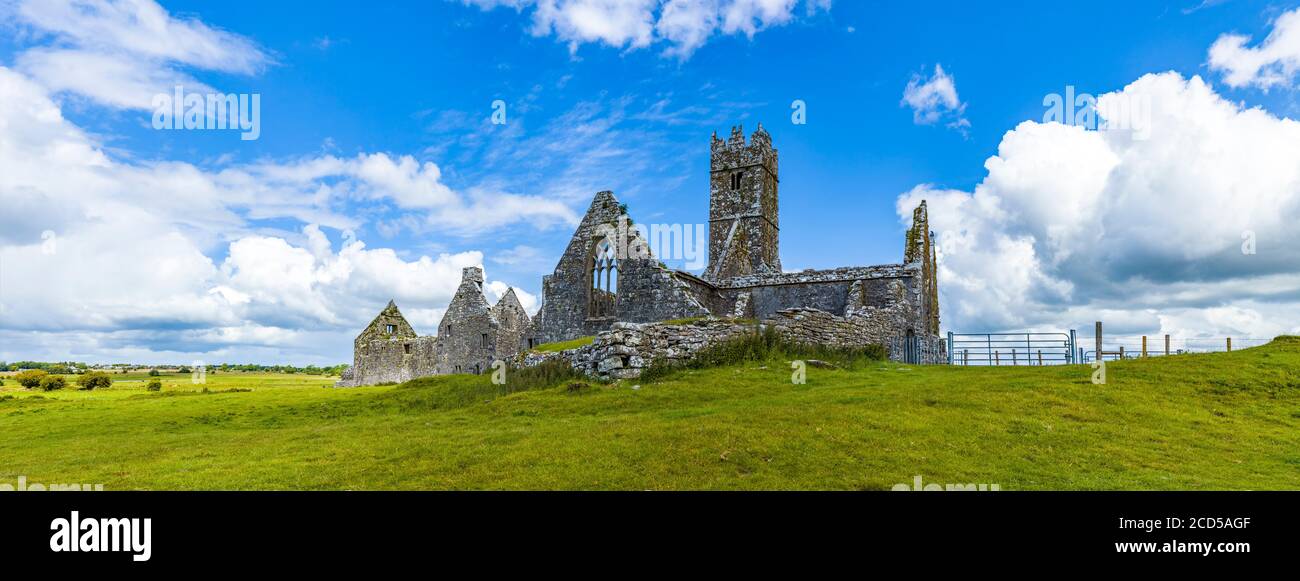 Rovine di Ross Errilly Friary nella contea di Galway, Irlanda Foto Stock