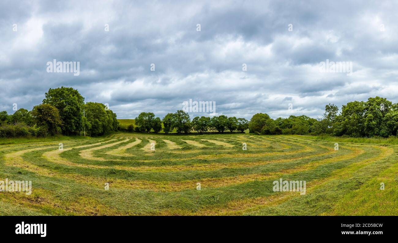 Vista del campo sotto il cielo coperto, Contea di Mayo, Irlanda Foto Stock