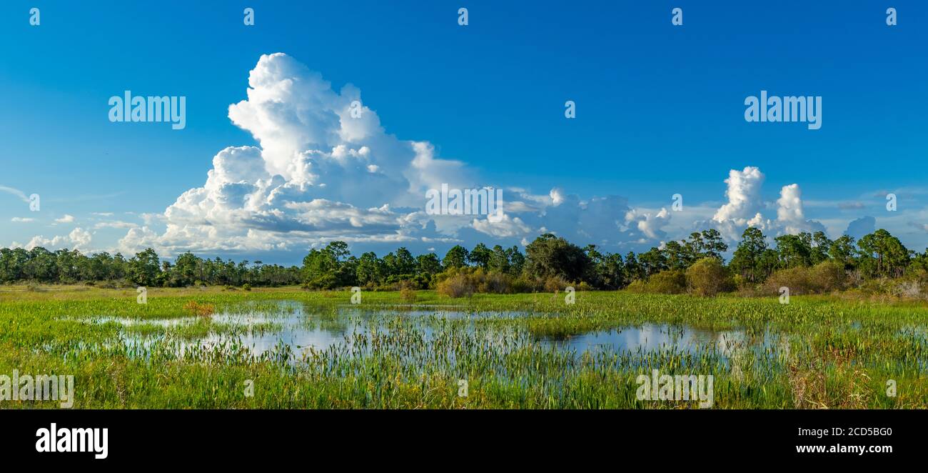 Vista delle zone umide e delle nuvole sul cielo, Punta Gorda, Florida, USA Foto Stock