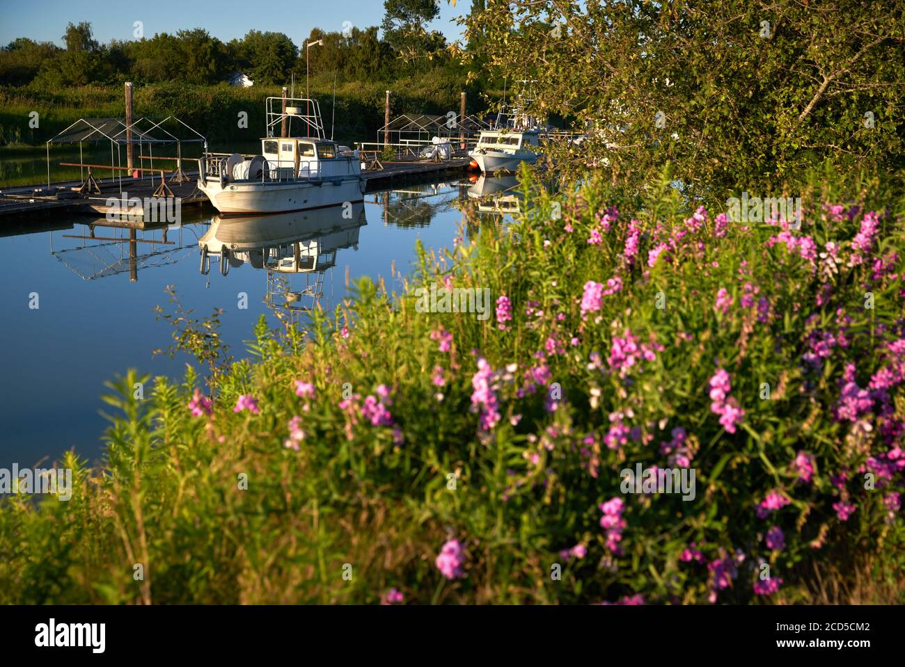 Scotch Pond Dock Steveston. Un gillnetter legato al molo di Scotch Pond, Steveston, British Columbia. Foto Stock