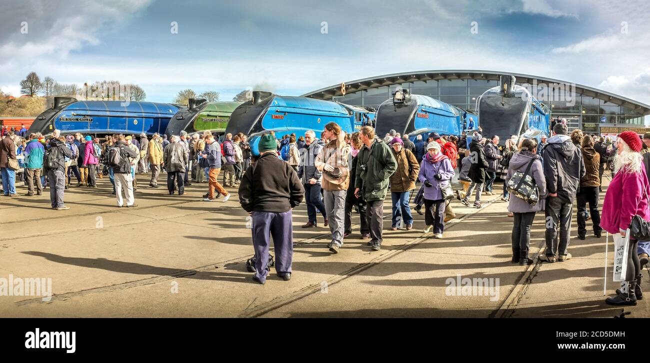 A4 pacific Anniversary Shildon museo ferroviario Foto Stock
