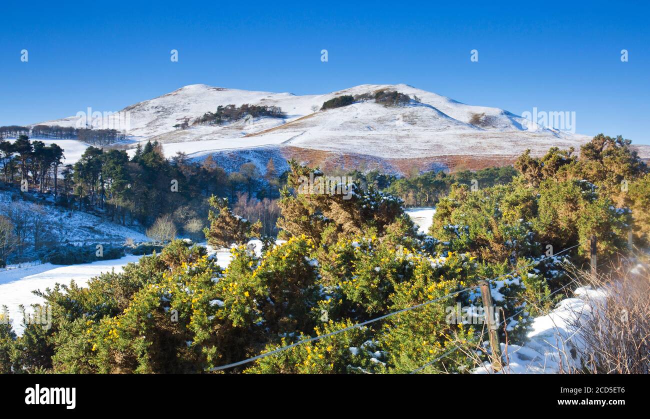 Scald Law e Carnethy Hill, Pentland Hills Regional Park in inverno Foto Stock