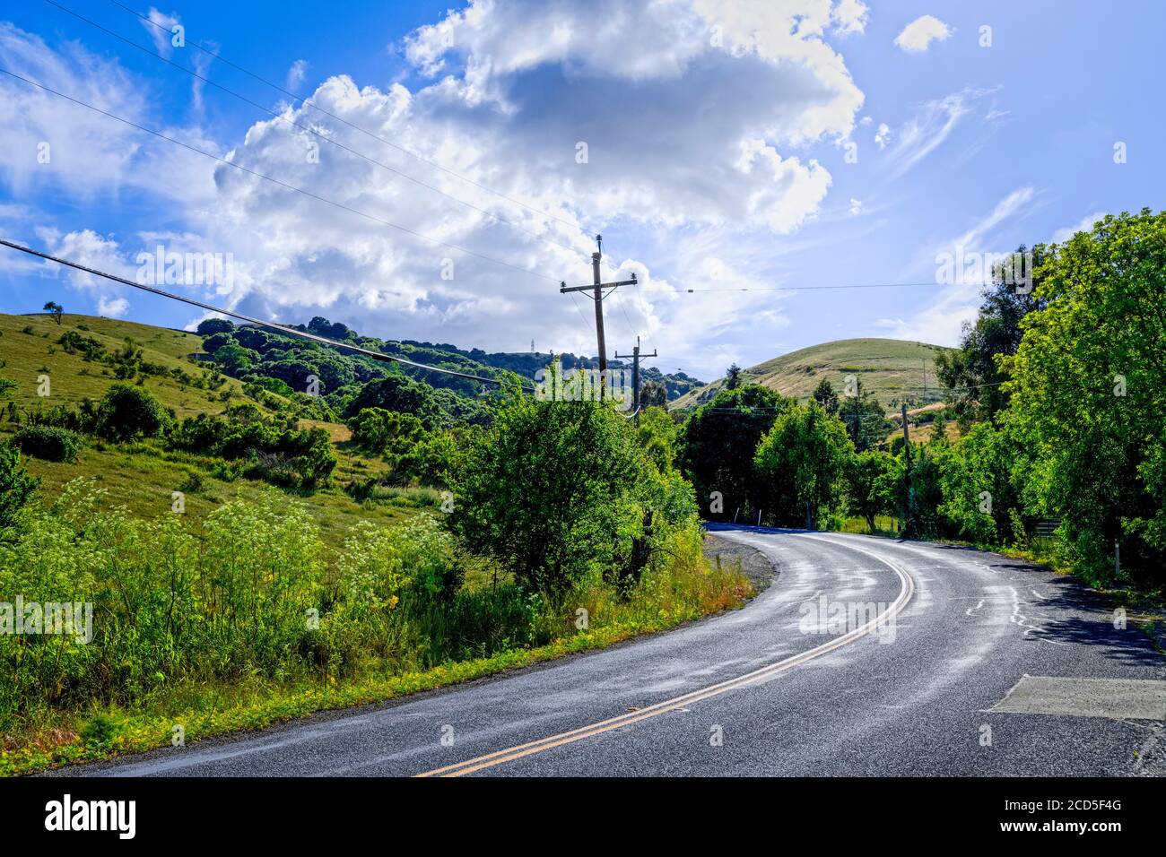 Paesaggio con strada di campagna e colline, California, Stati Uniti Foto Stock