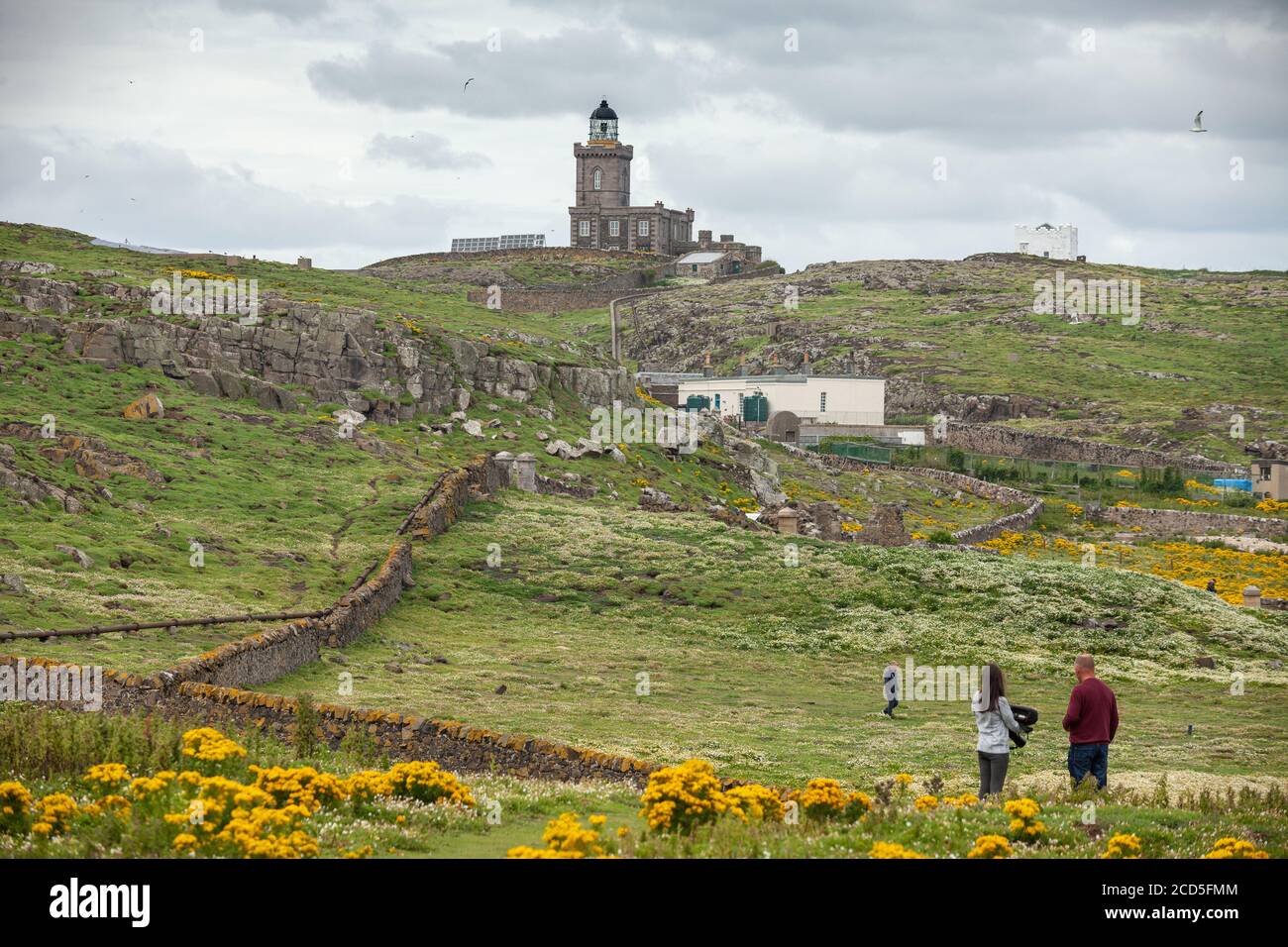 Il faro di Robert Stevenson sull'isola di maggio, in Scozia. Foto Stock