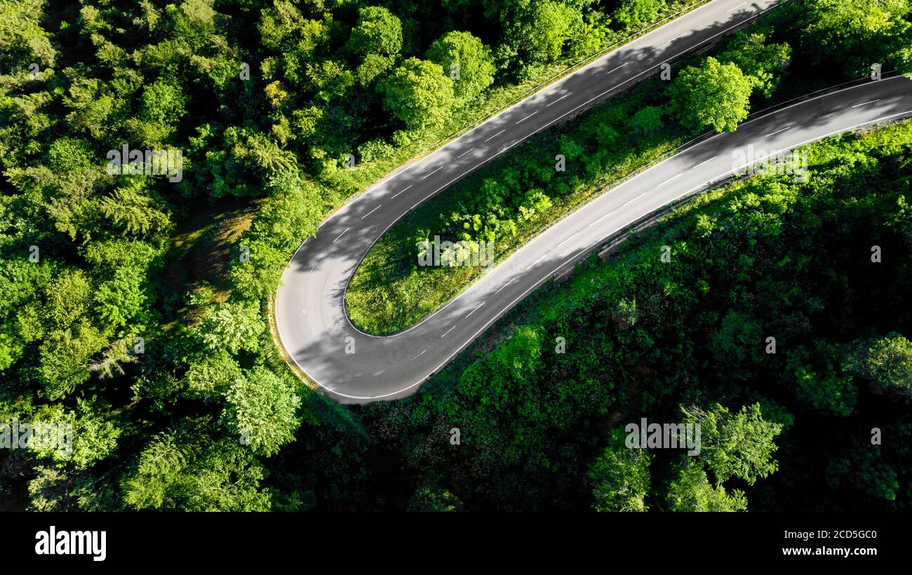 Vista della curva sulla strada in foresta Foto Stock