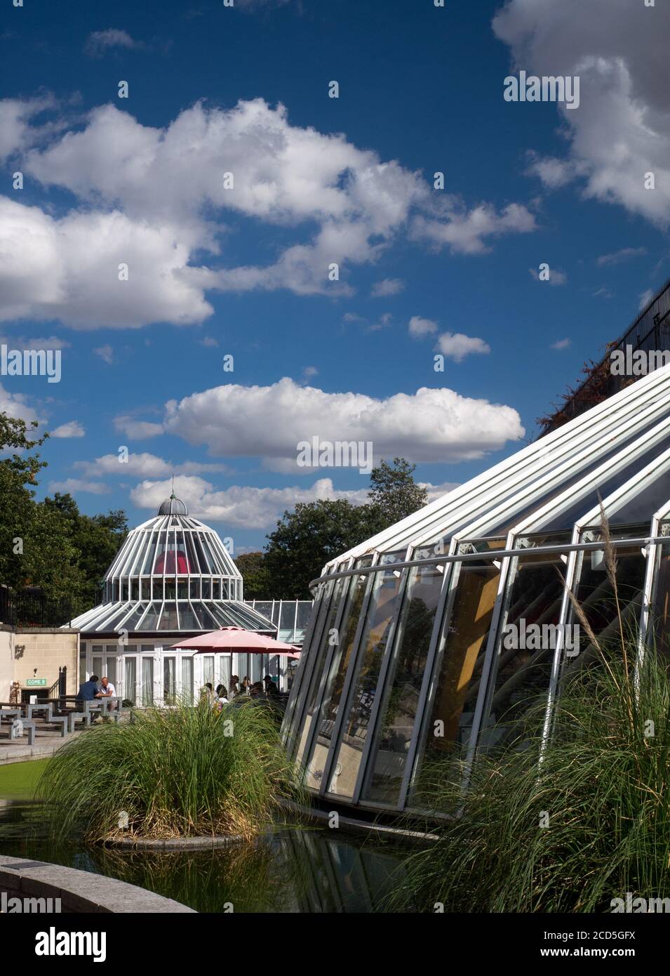 Norwich Castle Mall (ora chiamato Castle Quarter) tetto di vetro al piano aperto, all'interno dei Castle Gardens, Norwich, Norfolk, Inghilterra, Regno Unito Foto Stock