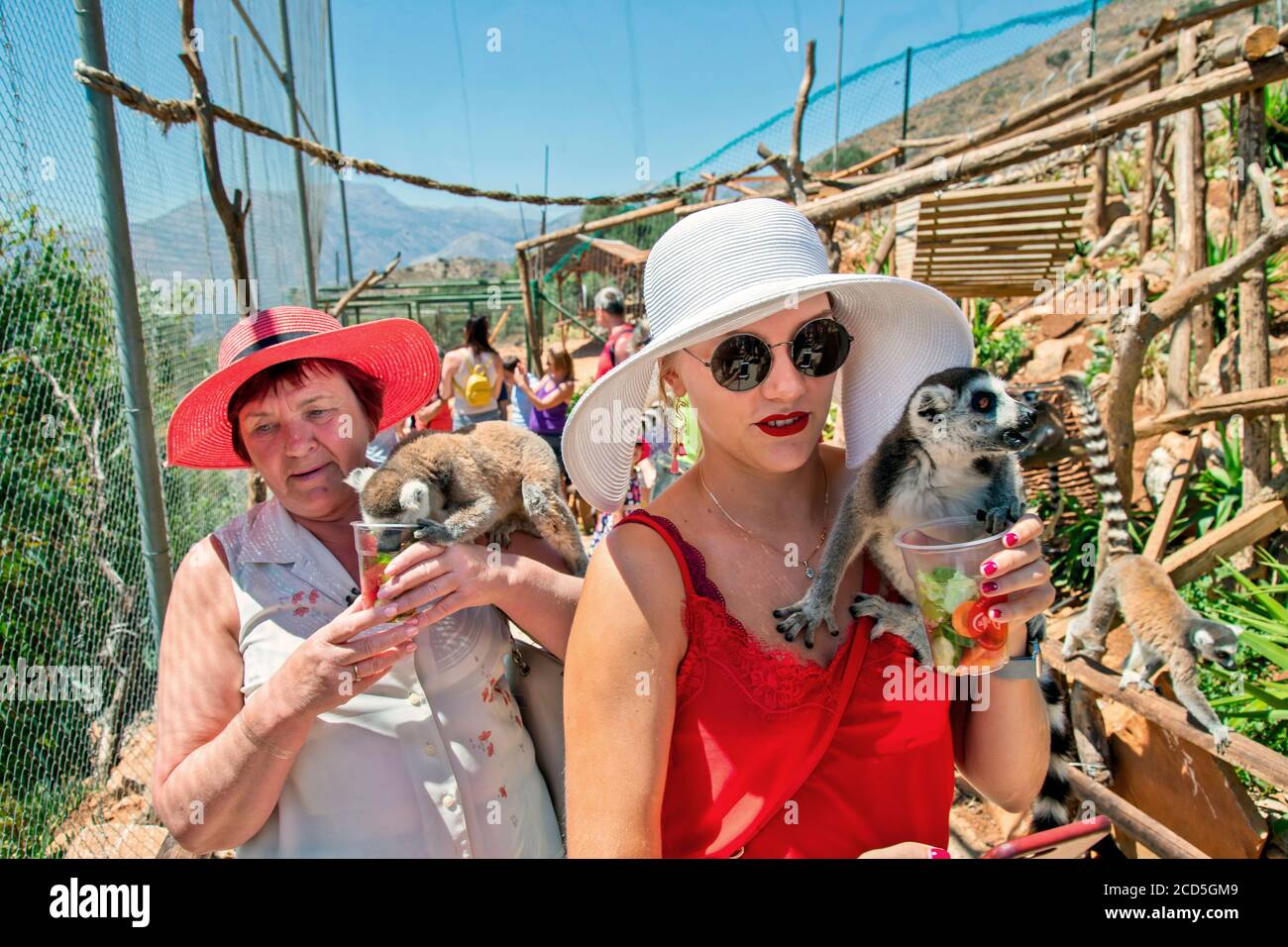 I visitatori giocano con i lemuri nel parco di Amazonas, lo zoo tra Neapolis e Kourounes villaggio, il comune di Agios Nikolaos, Lassithi, Creta, Grecia. Foto Stock
