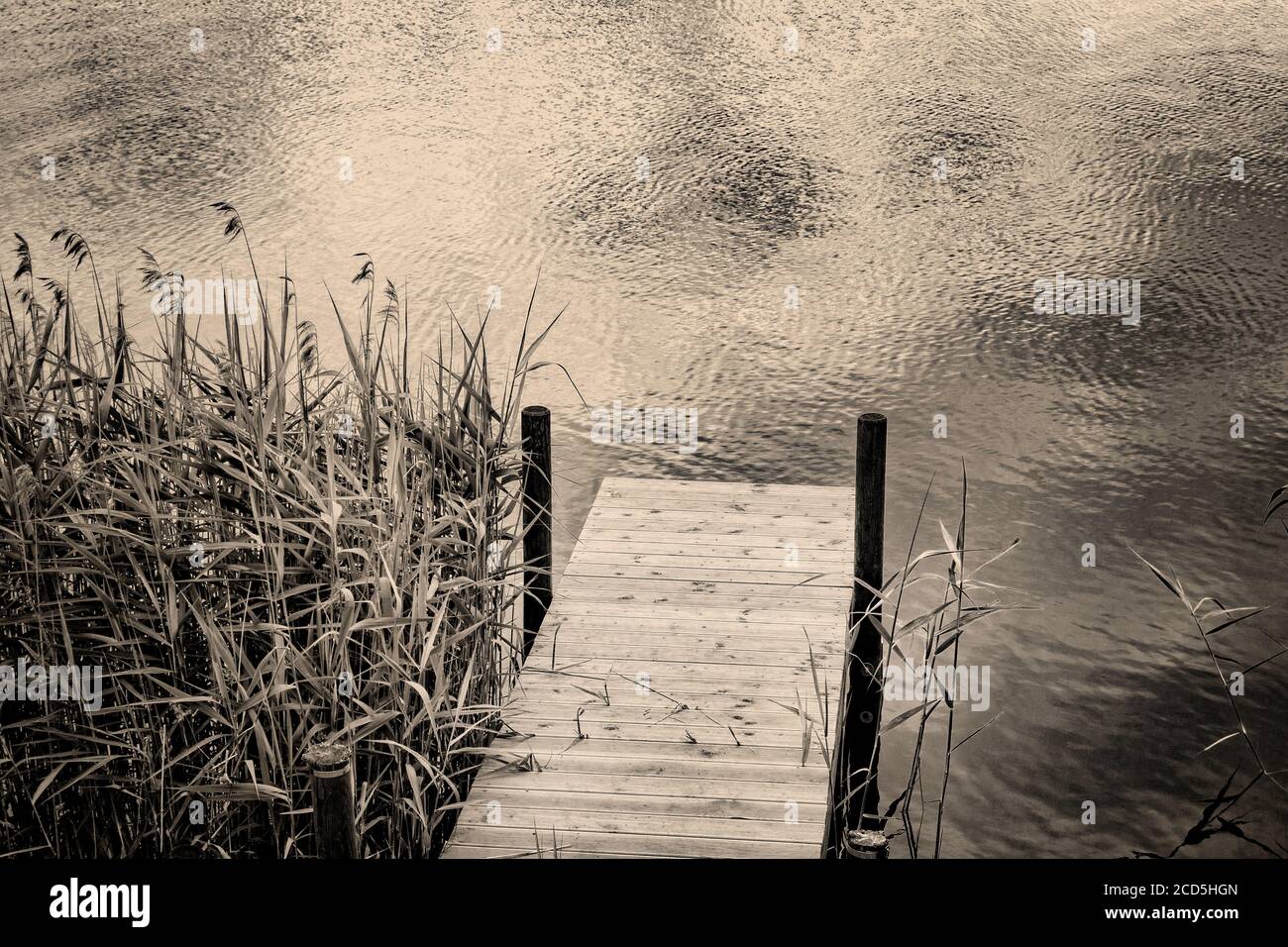 Vista in bianco e nero della piattaforma di nuoto in legno sul lago bavarese in primavera, Germania Foto Stock