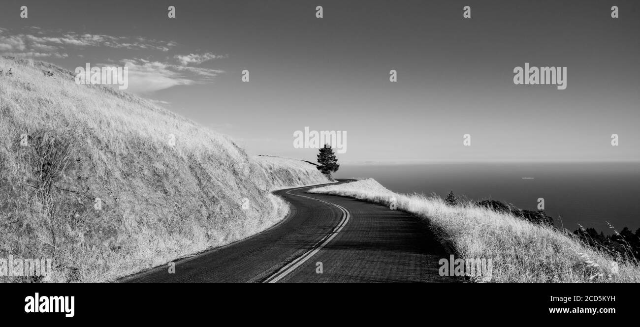 Vista della strada tra le colline, Marin County, California, Stati Uniti Foto Stock
