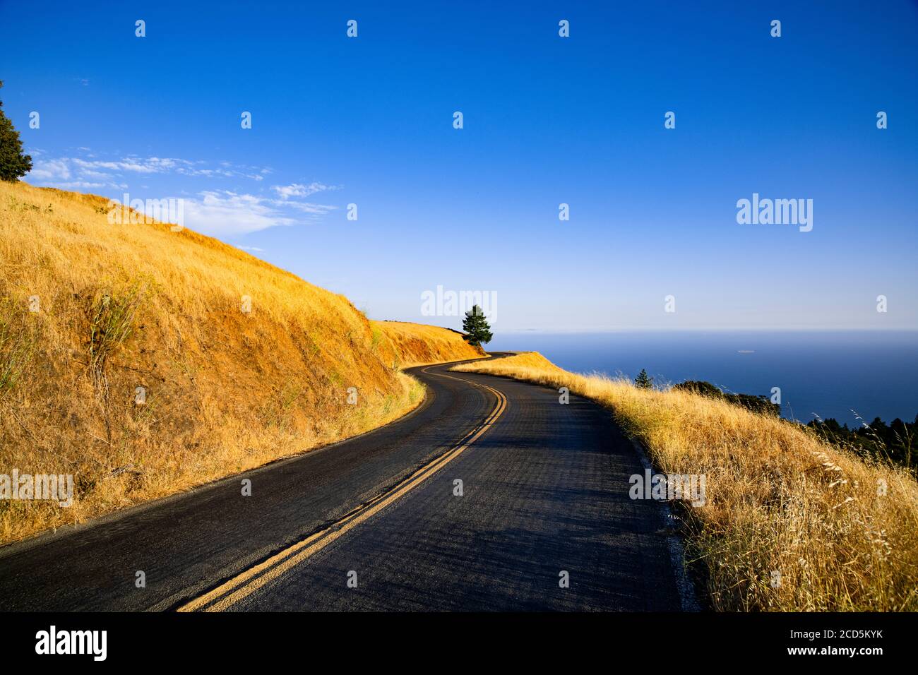 Vista della strada tra le colline, Marin County, California, Stati Uniti Foto Stock