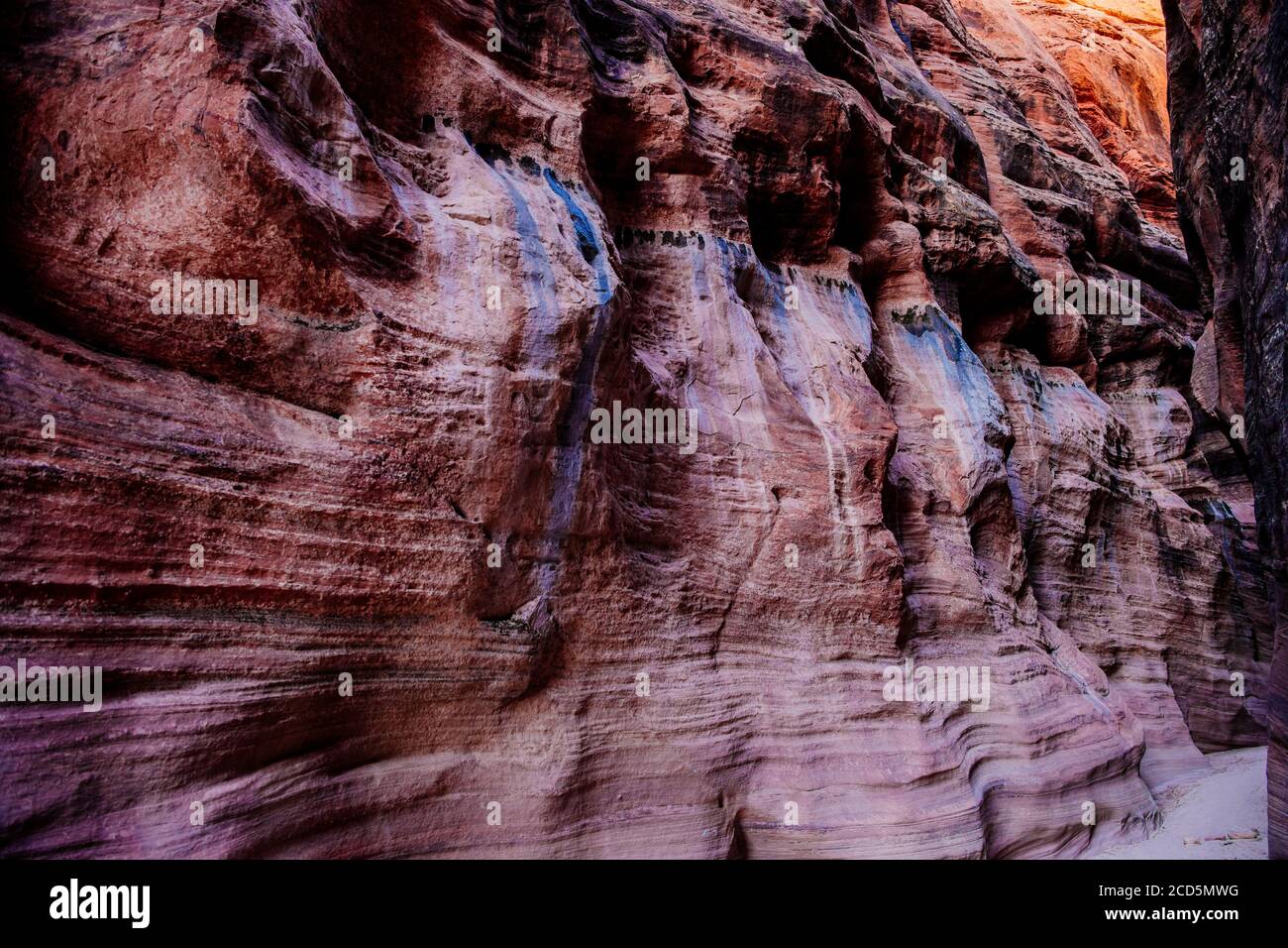 Vermillion Cliffs, Buckskin Gulch, Paria Canyon, Utah, USA Foto Stock