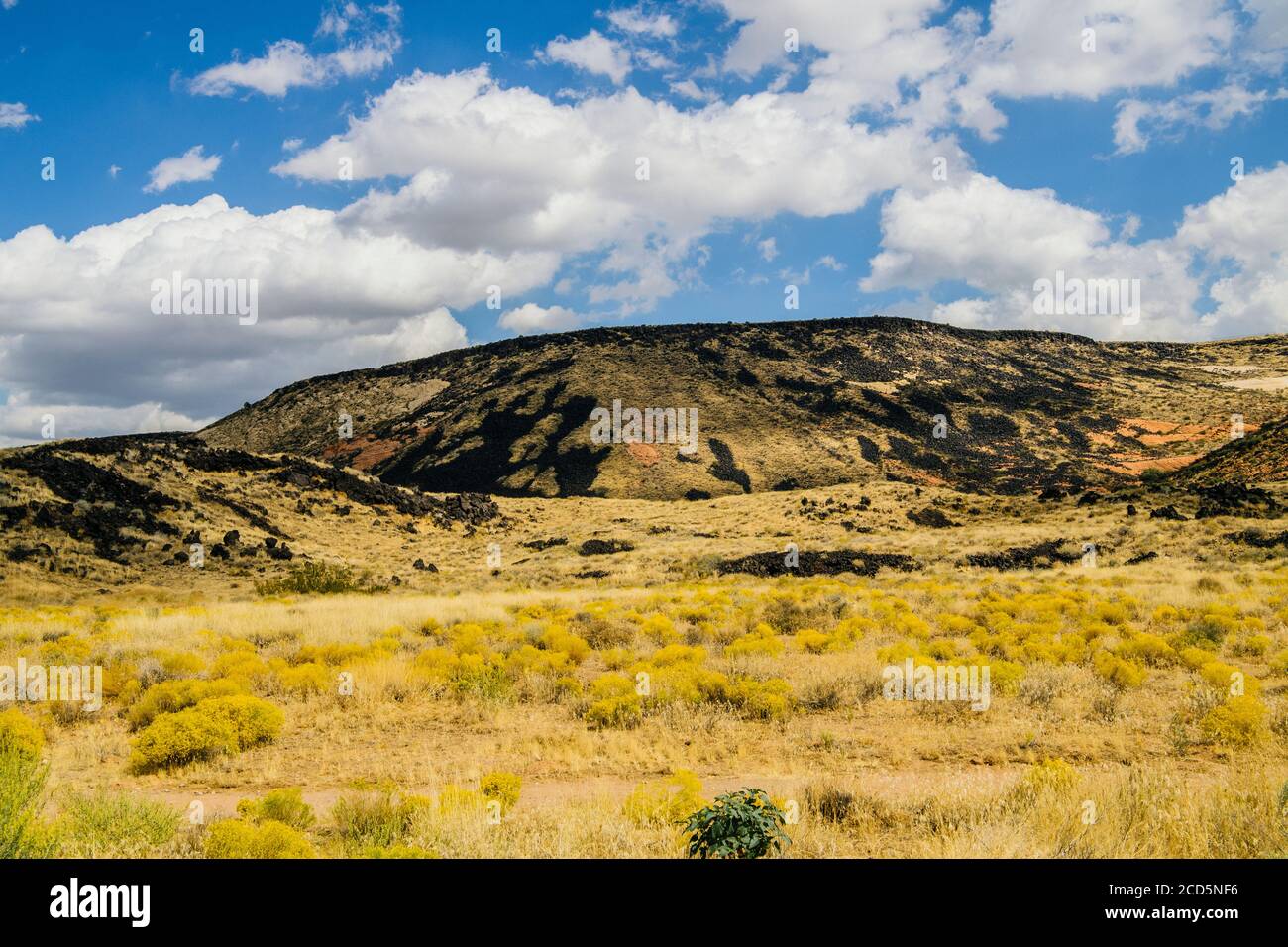 Vista delle montagne, dello Snow Canyon state Park, di Ivins, della Contea sudoccidentale di Washington, dello Utah, Stati Uniti Foto Stock