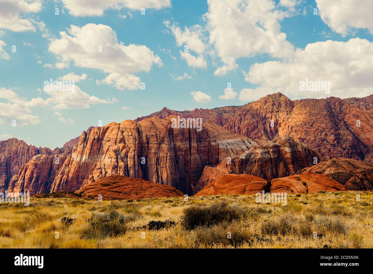 Vista delle montagne, dello Snow Canyon state Park, di Ivins, della Contea sudoccidentale di Washington, dello Utah, Stati Uniti Foto Stock