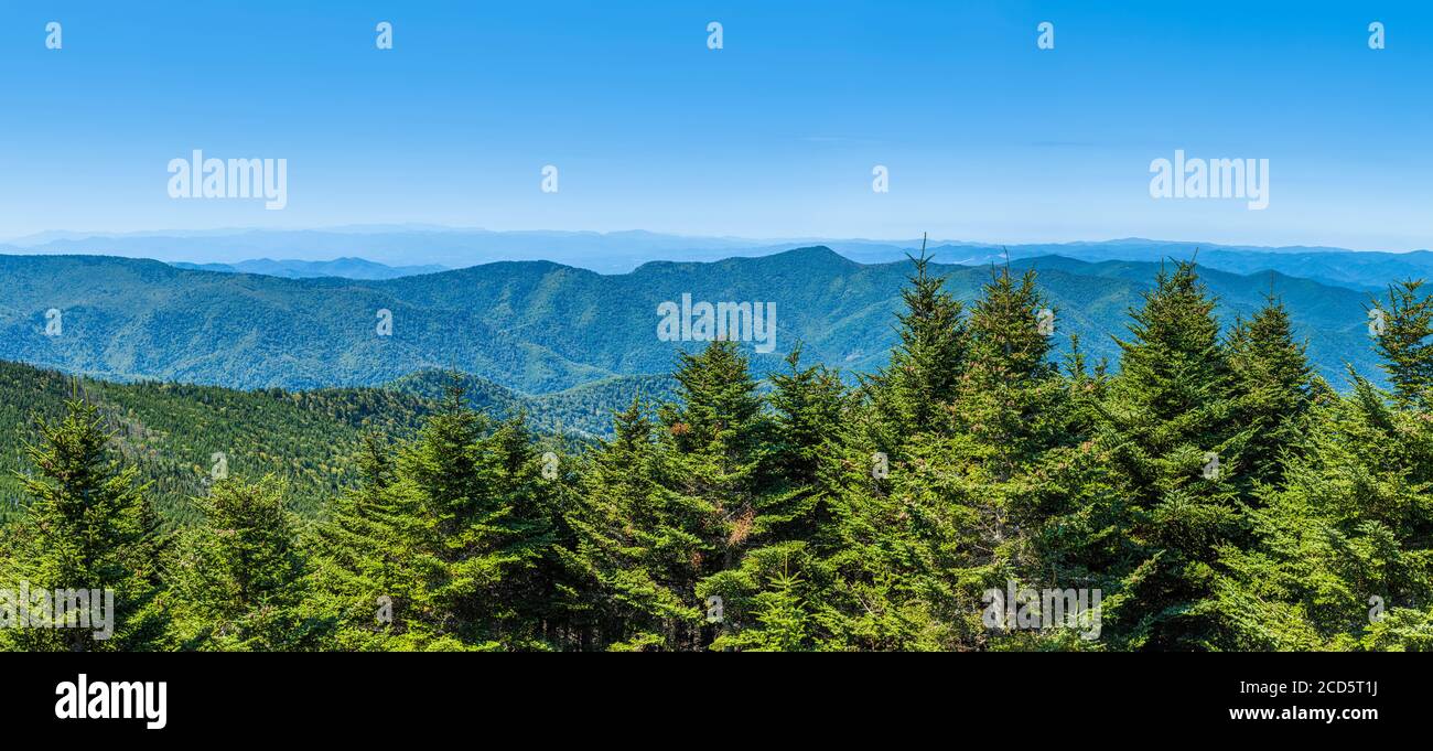 Great Smoky Mountains visto da Blue Ridge Parkway, North Carolina, Stati Uniti Foto Stock
