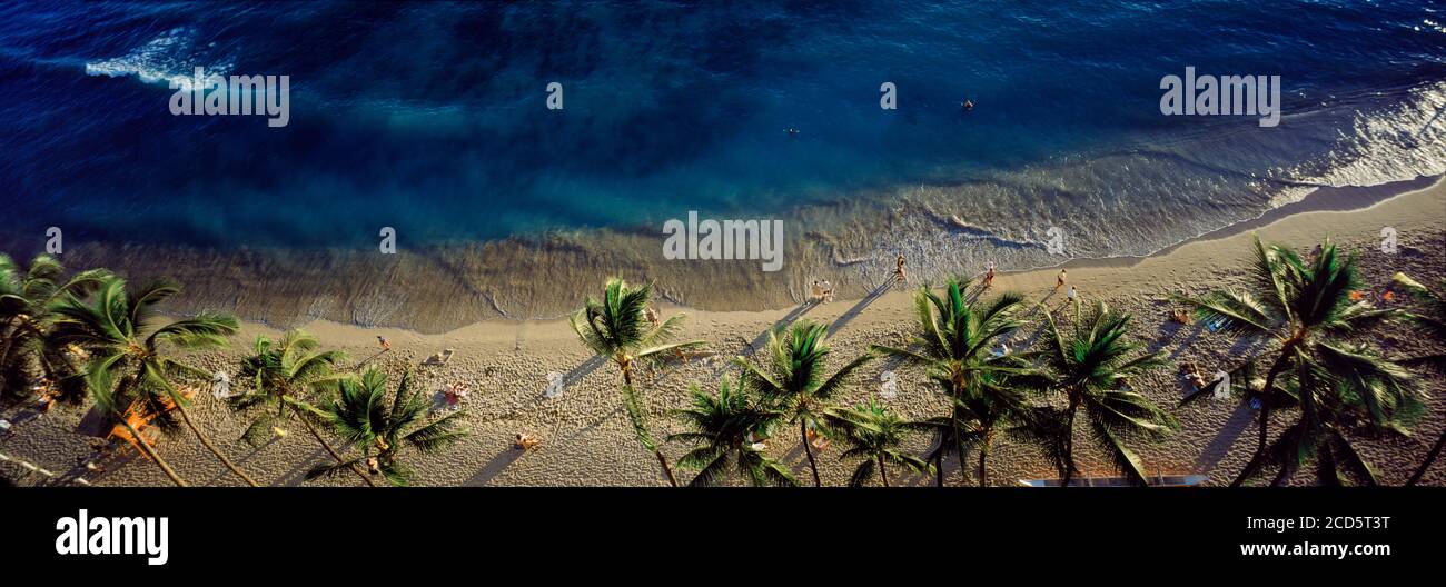 Vista ad alto angolo delle palme sulla spiaggia sabbiosa di Waikiki e il mare blu, Waikiki, Hawaii, USA Foto Stock