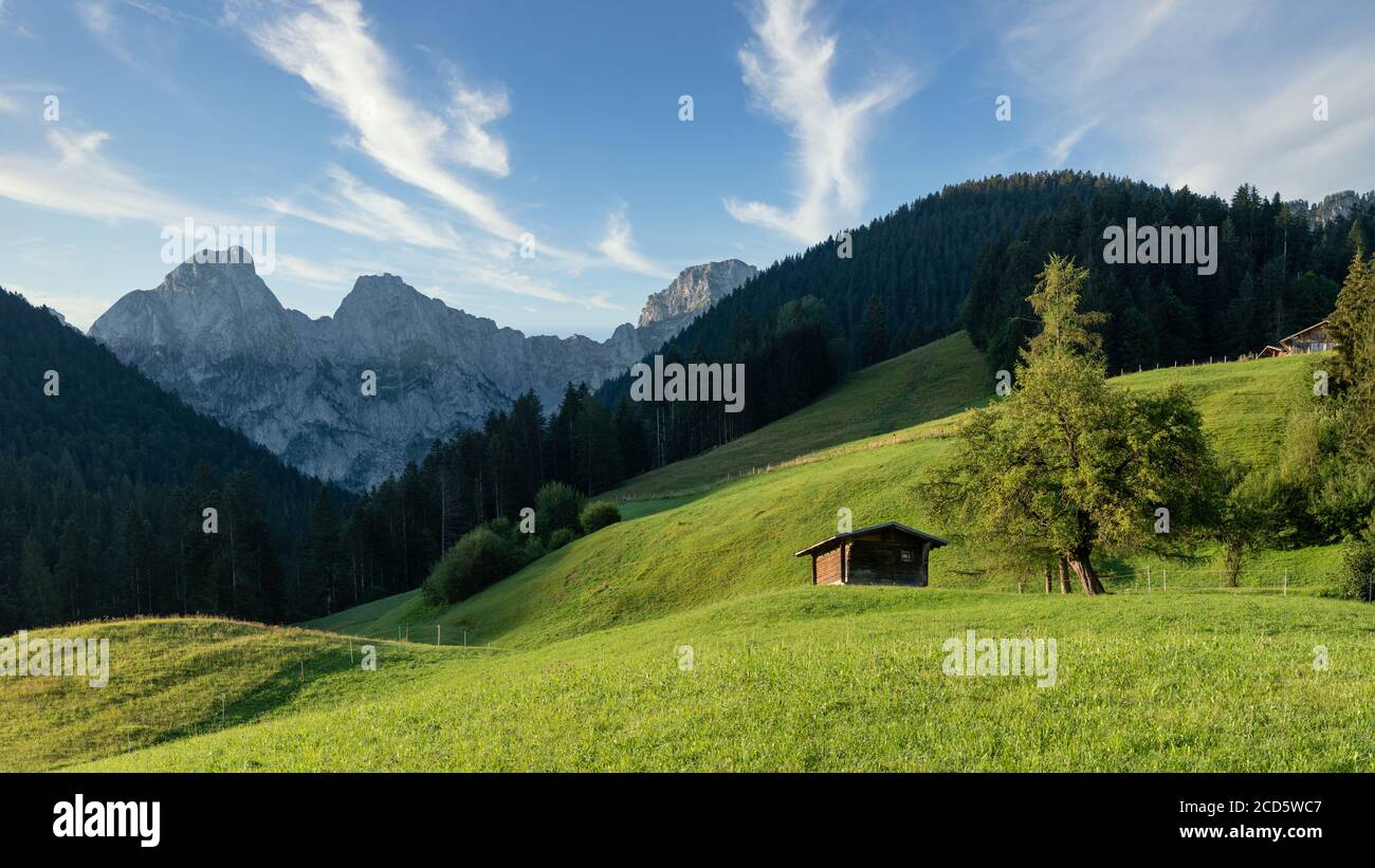 Paesaggio del Parco Regionale Gruyère Pays-d'Enhaut, Svizzera Foto Stock