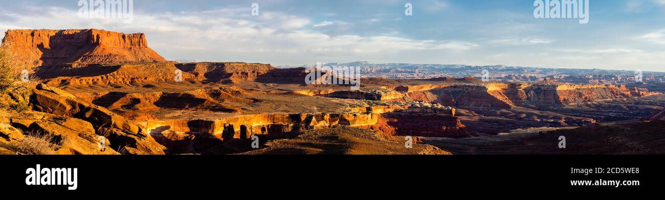 Paesaggio con canyon visto da Murphy Hogback, Island in the Sky District, Canyonlands National Park, Moab, Utah, USA Foto Stock