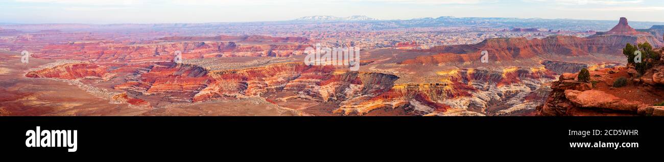 Vista del canyon da Panorama Point, Maze District of Canyonlands National Park, Wayne County, Utah, USA Foto Stock