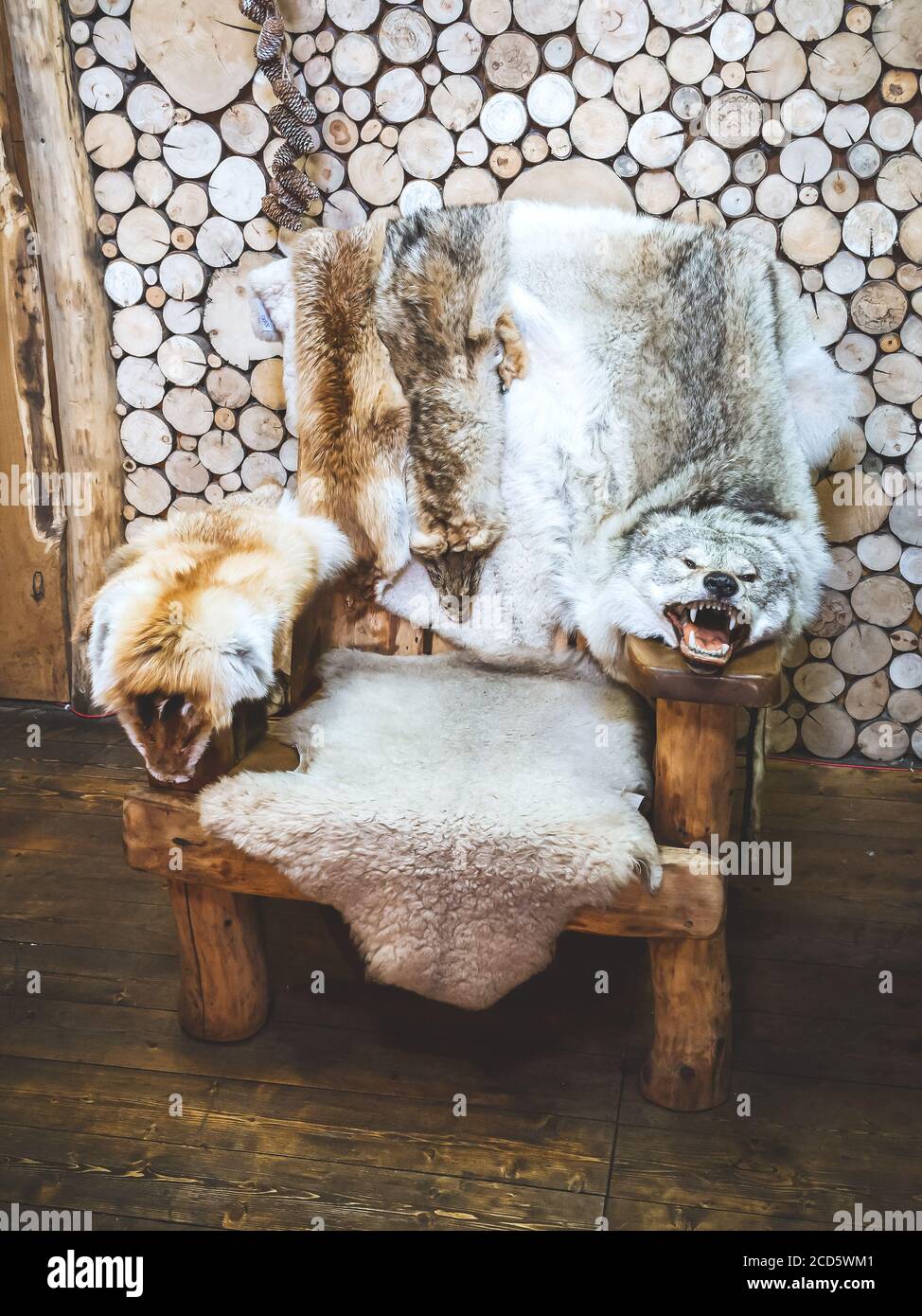 Le pelli di animali selvatici giacciono su una sedia di legno in piedi al muro di log Foto Stock