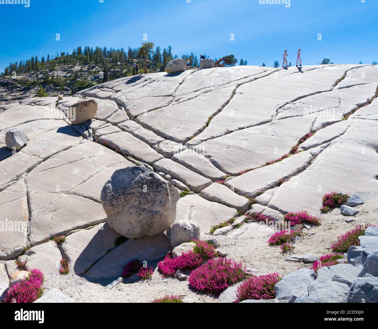Scale - Granite presenta visitatori nani a Olmsted Point. Yosemite National Park, California, Stati Uniti Foto Stock
