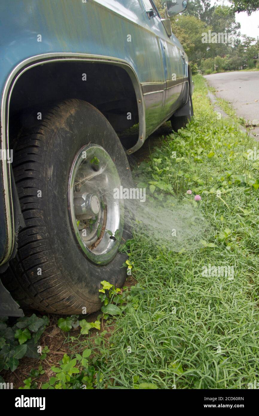 Un nastro di spiderweb di un imbuto ragno attacca un pneumatico di verricello al terreno che mostra che è rimasto a casa e non Andato ovunque durante la pandemia di Covid-19 Foto Stock
