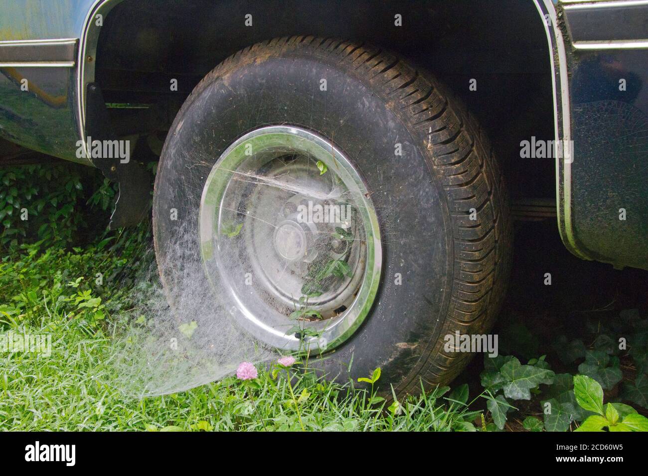 Una ragnatela di spider a imbuto che fissa uno pneumatico di un autocarro al Il terreno simboleggia il soggiorno a casa durante il coronavirus Covid-19 del 2020 pandemia Foto Stock