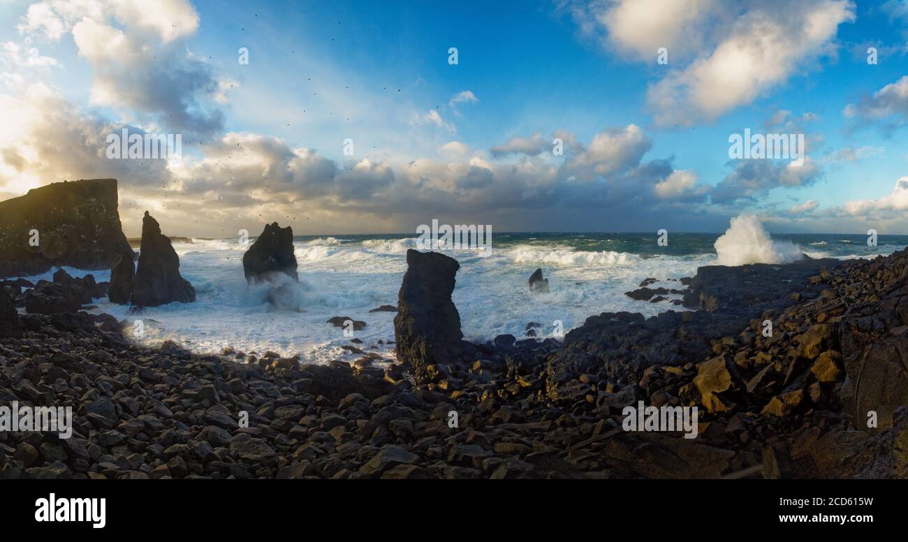 Surf lungo la costa rocciosa, Islanda Foto Stock