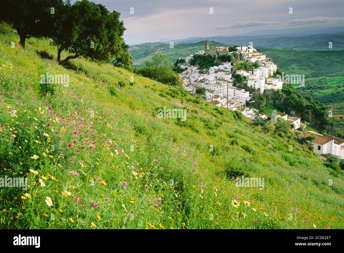 Città in collina e prato sulla montagna, Casares, Andalusia, Spagna Foto Stock
