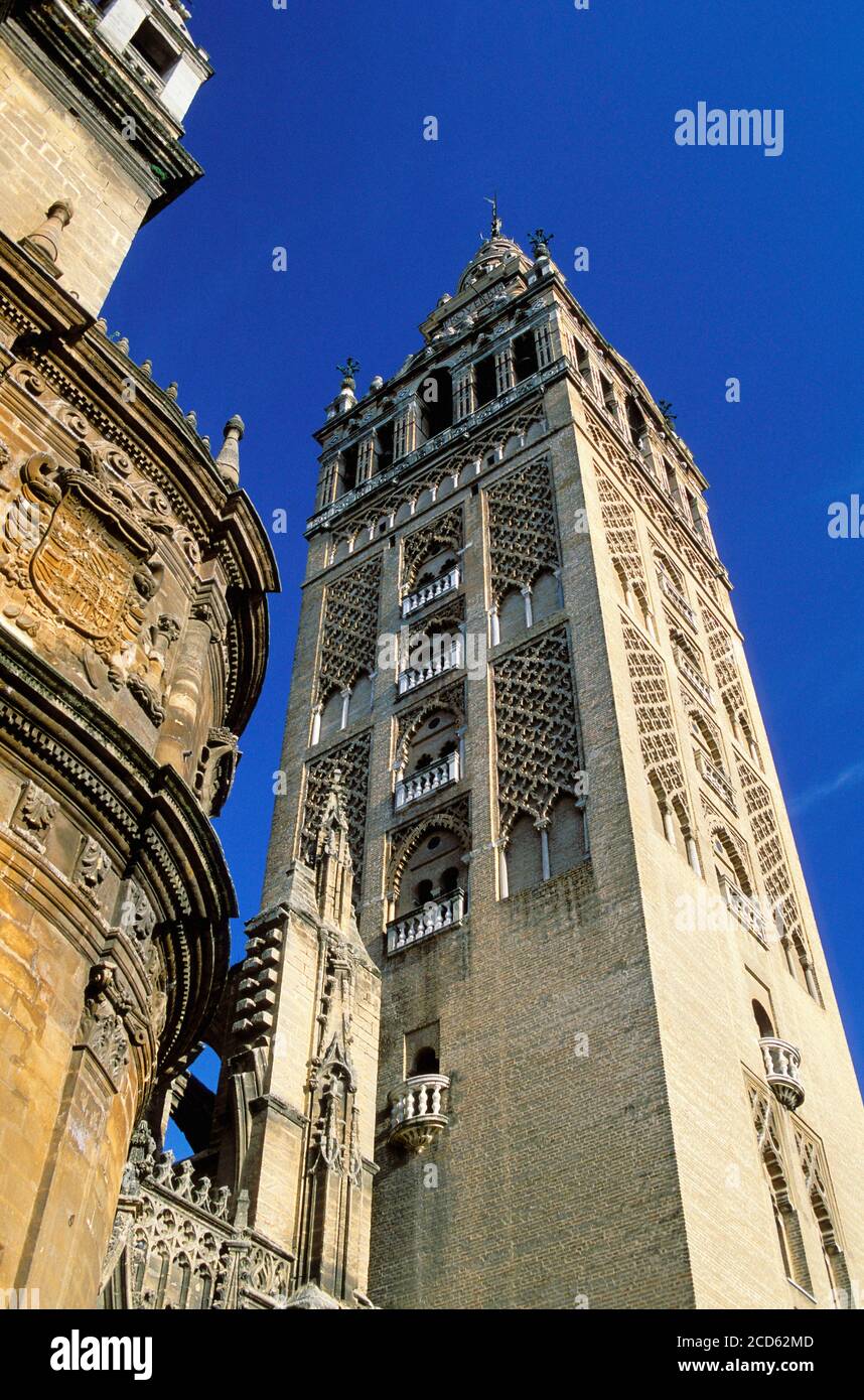 Vista ad angolo basso del Campanile (la Giralda) della Cattedrale di Siviglia, Siviglia, Andalusia, Spagna Foto Stock