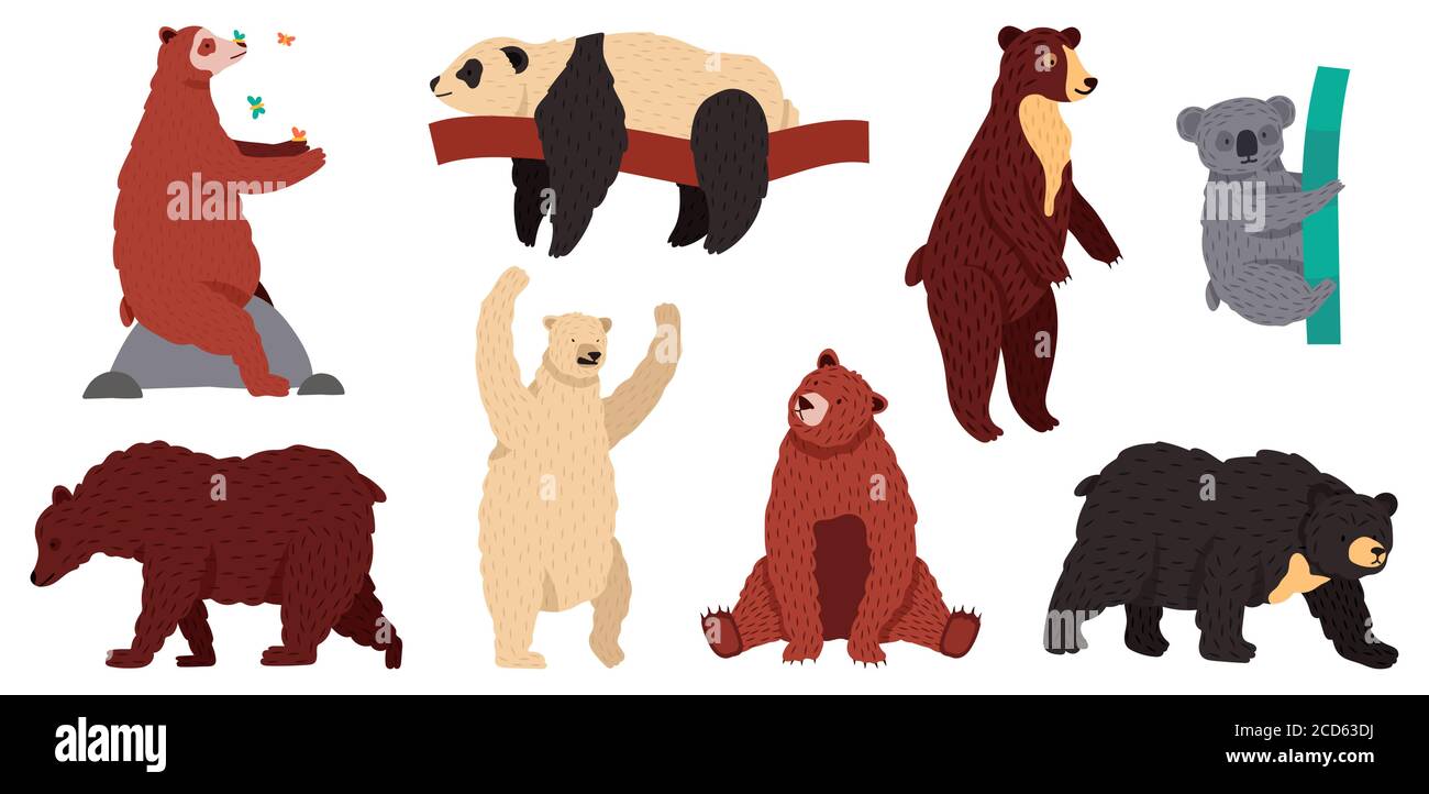 Specie di orsi. Personaggi di mammiferi selvatici, predatori di foreste di furry, grizzly panda koala e artico bianco orso illustrazione insieme vettoriale Illustrazione Vettoriale