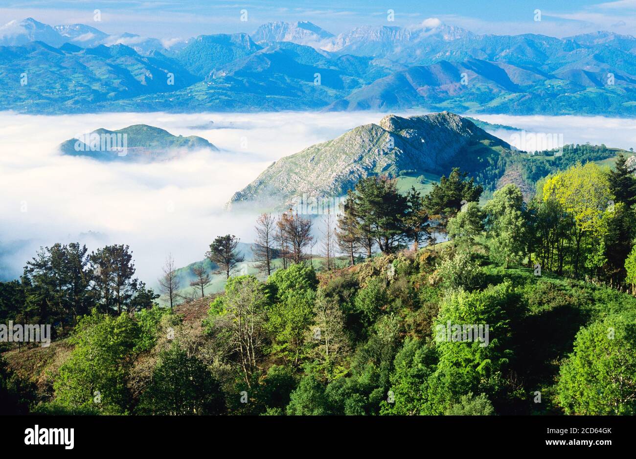 Montagne e colline che si innalzano sopra la nebbia, Parco Nazionale Picos de Europa, Spagna Foto Stock