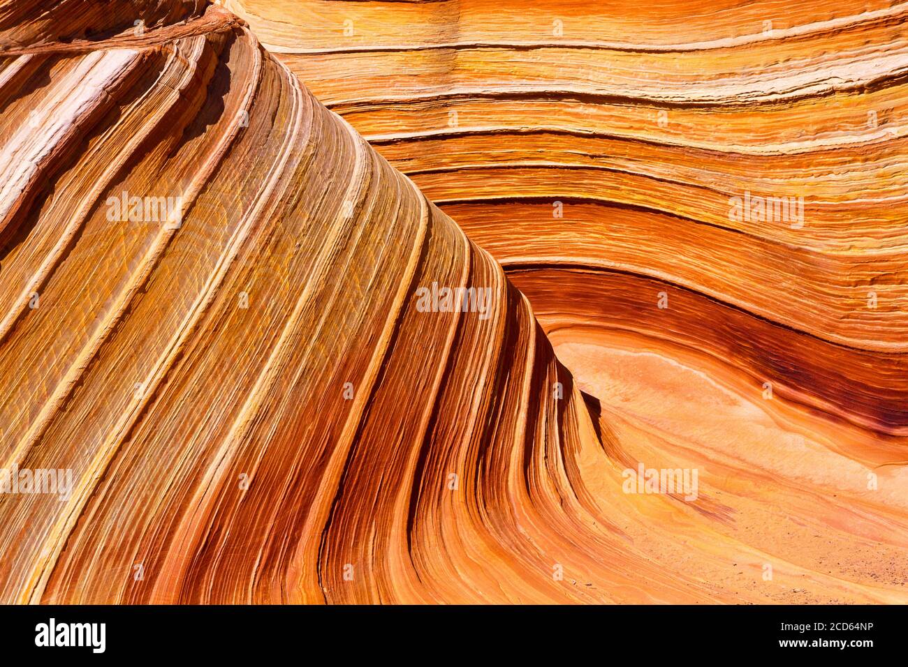 Paesaggio con formazioni rocciose lisce nel deserto, Paria Canyon-Vermillion Cliffs Wilderness Area, Arizona, Stati Uniti Foto Stock