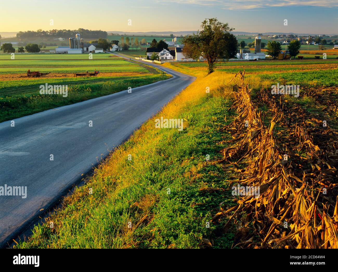 Country Road e fattorie Amish, Lancaster County, Pennsylvania, Stati Uniti Foto Stock
