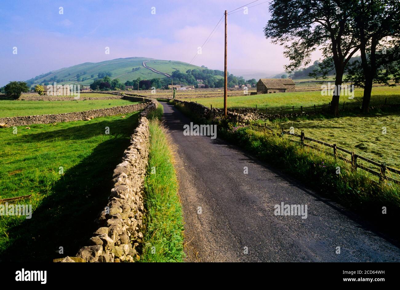 Country Road, Yorkshire Dales National Park, Inghilterra, Regno Unito Foto Stock