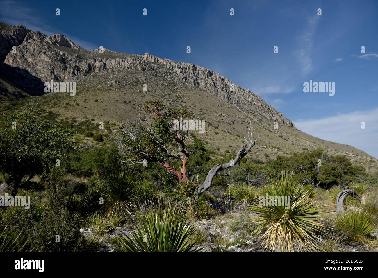 Hunter Peak 2550 m. Hunter Peak 2550 m. La scena è stata presa sul Tejas Trail, Guadalupe National Park, Texas Foto Stock