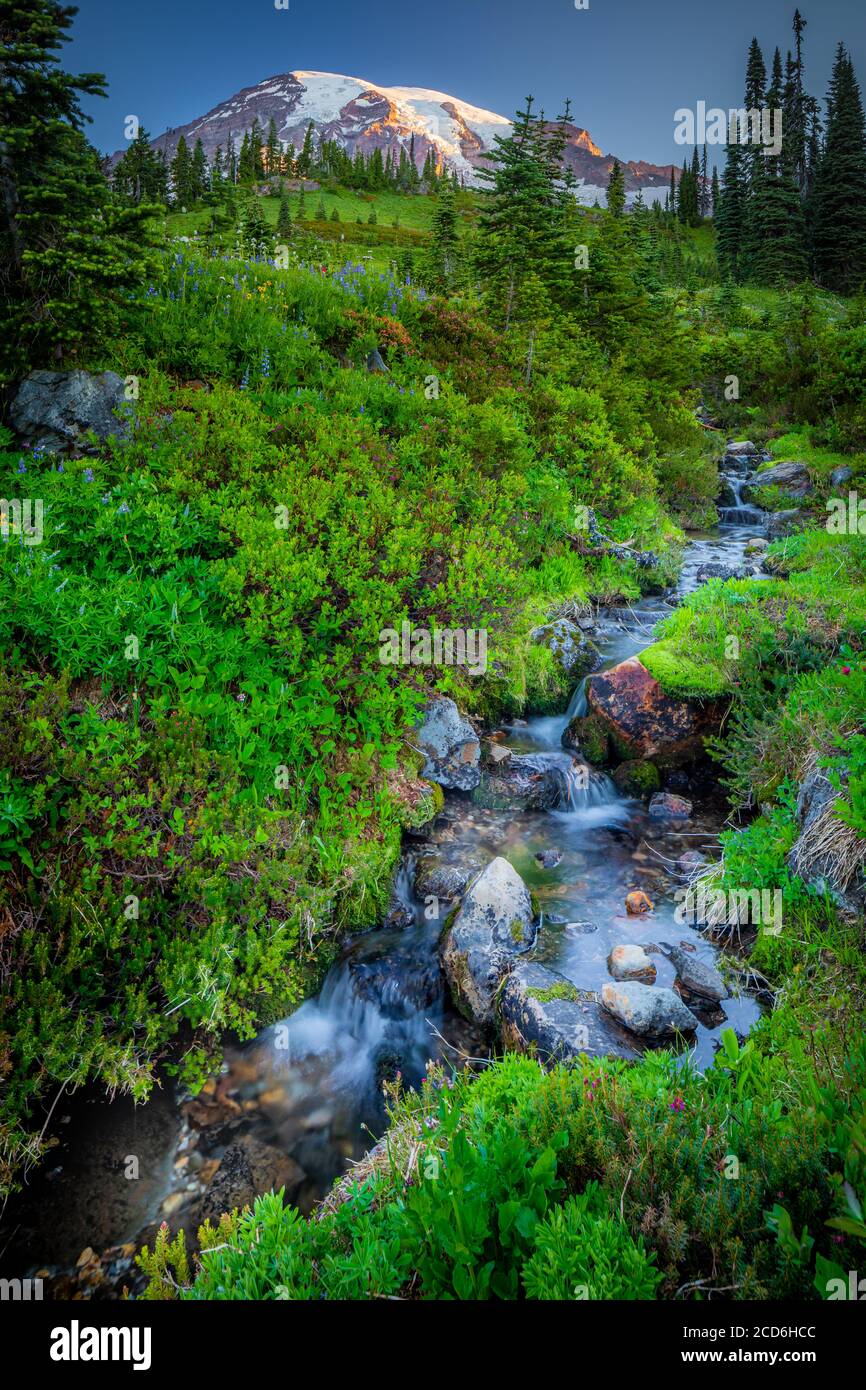 Stream at Paradise, Mount Rainier, Washington, USA Foto Stock