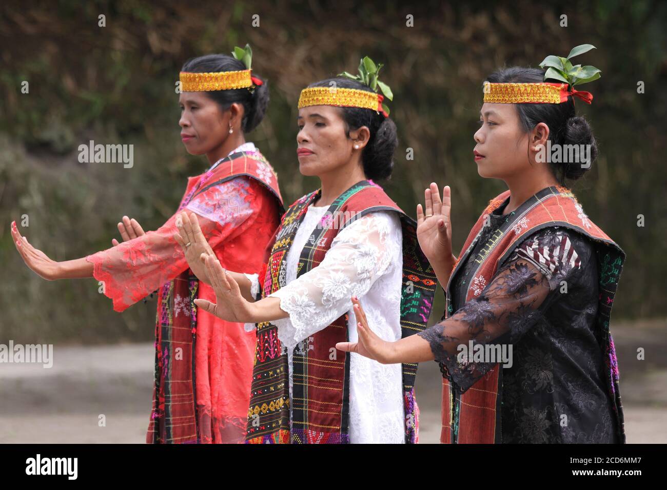 Toba Batak Signori di eseguire la tradizionale danza, Sumatra Foto Stock