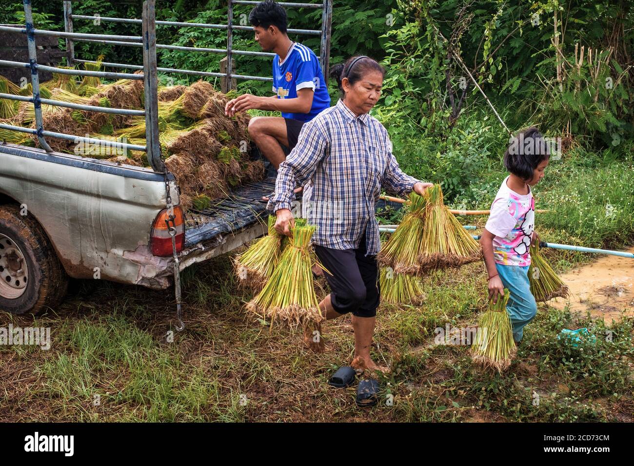 Una famiglia thailandese che si prepara a piantare riso nella Thailandia rurale Foto Stock