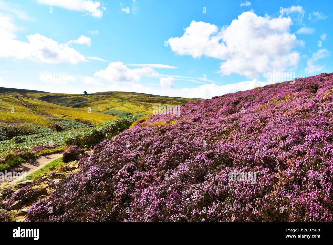 Wuthering Heights, Bronte Country, Haworth Foto Stock