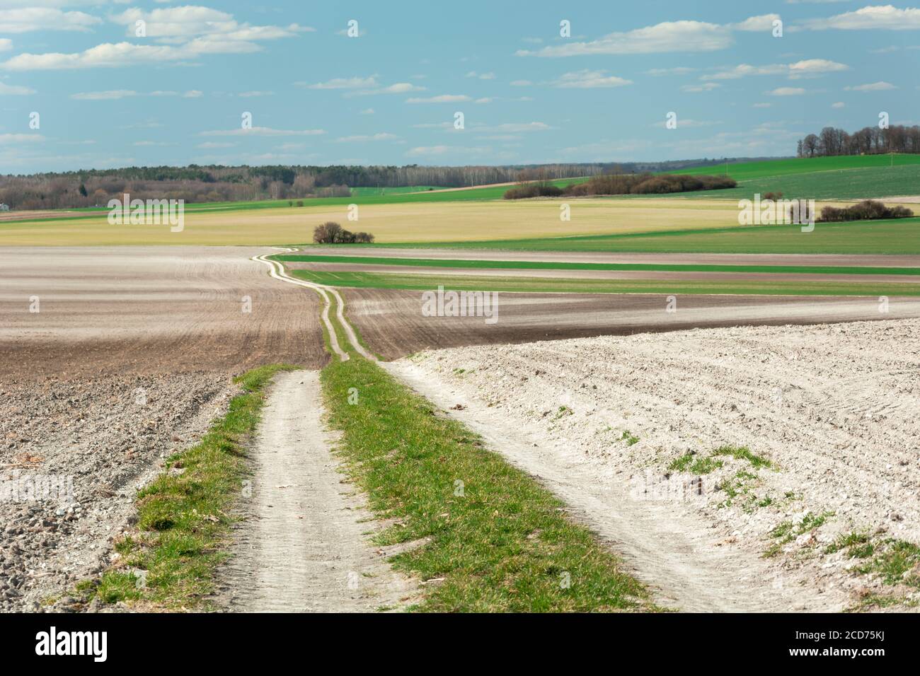 Lunga strada di campagna attraverso i campi, la foresta e il cielo Foto Stock