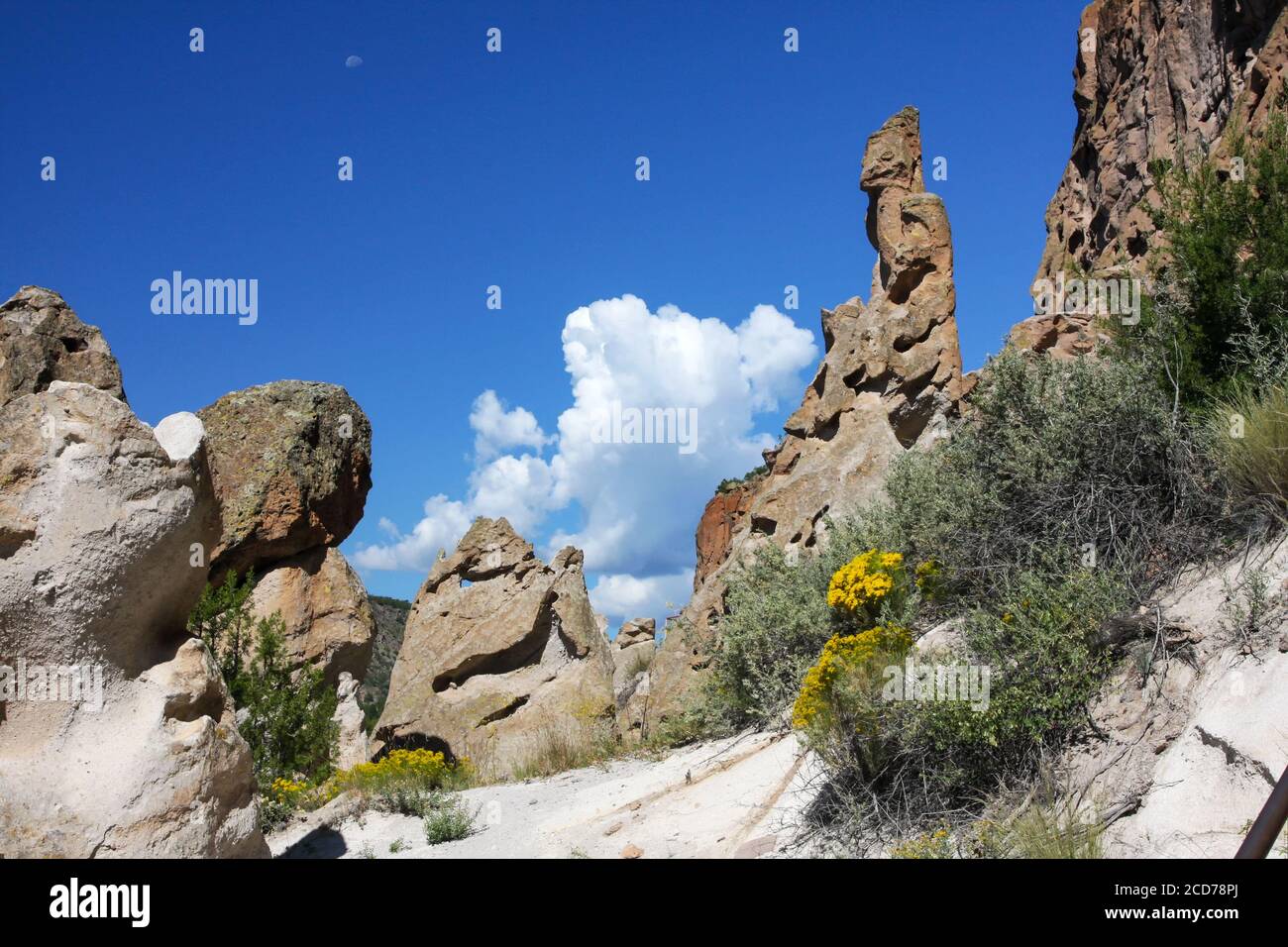Formazioni rocciose al Bandelier National Monument, dove le ceneri vulcaniche consolidate formano roccia conosciuta come tufo. Frijoles Canyon, New Mexico, Stati Uniti Foto Stock