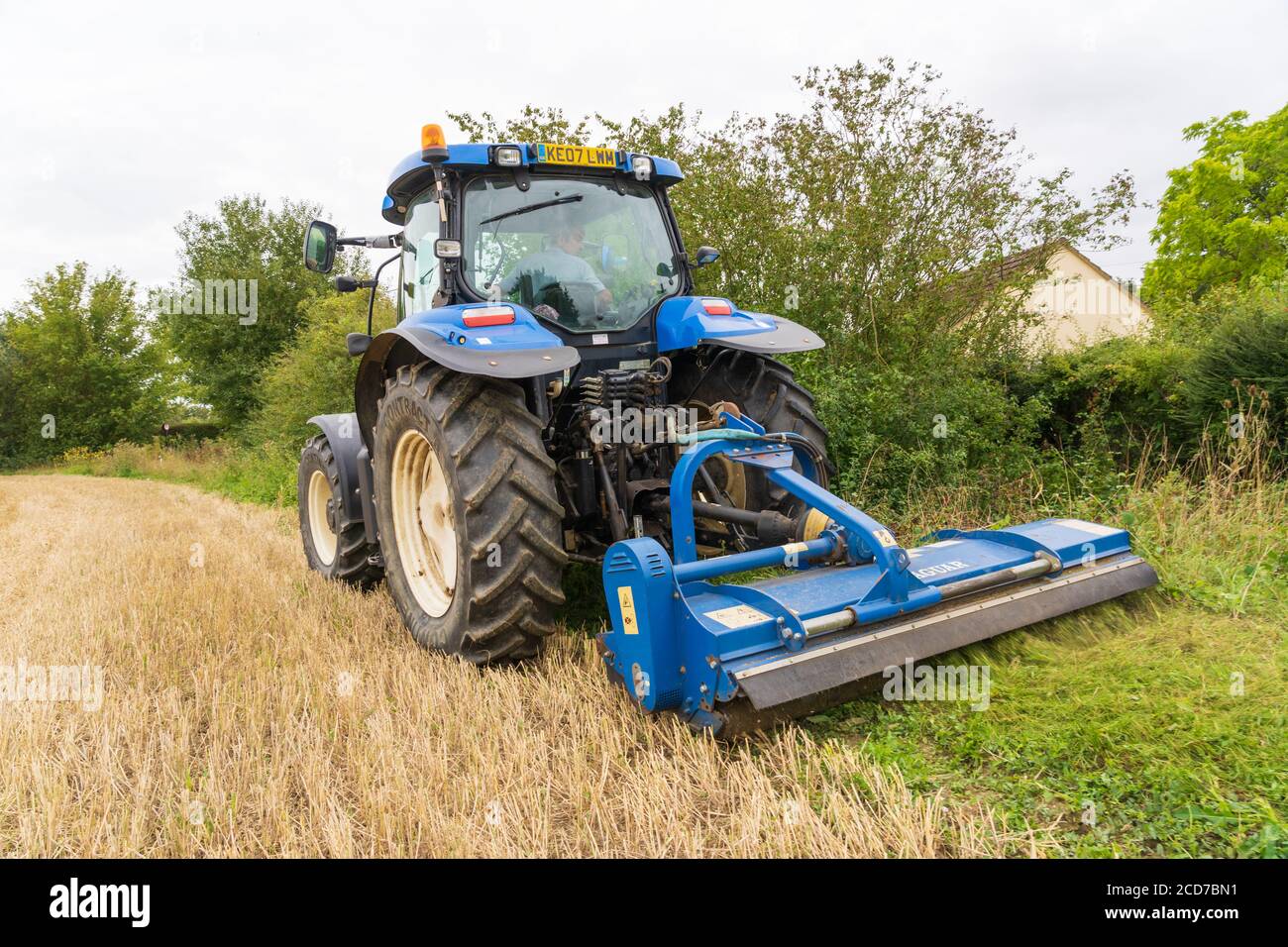 Coltivatore in un trattore falciando un'erba sul bordo di un campo in tarda estate. Molto Hadham, Hertfordshire, Inghilterra. REGNO UNITO Foto Stock