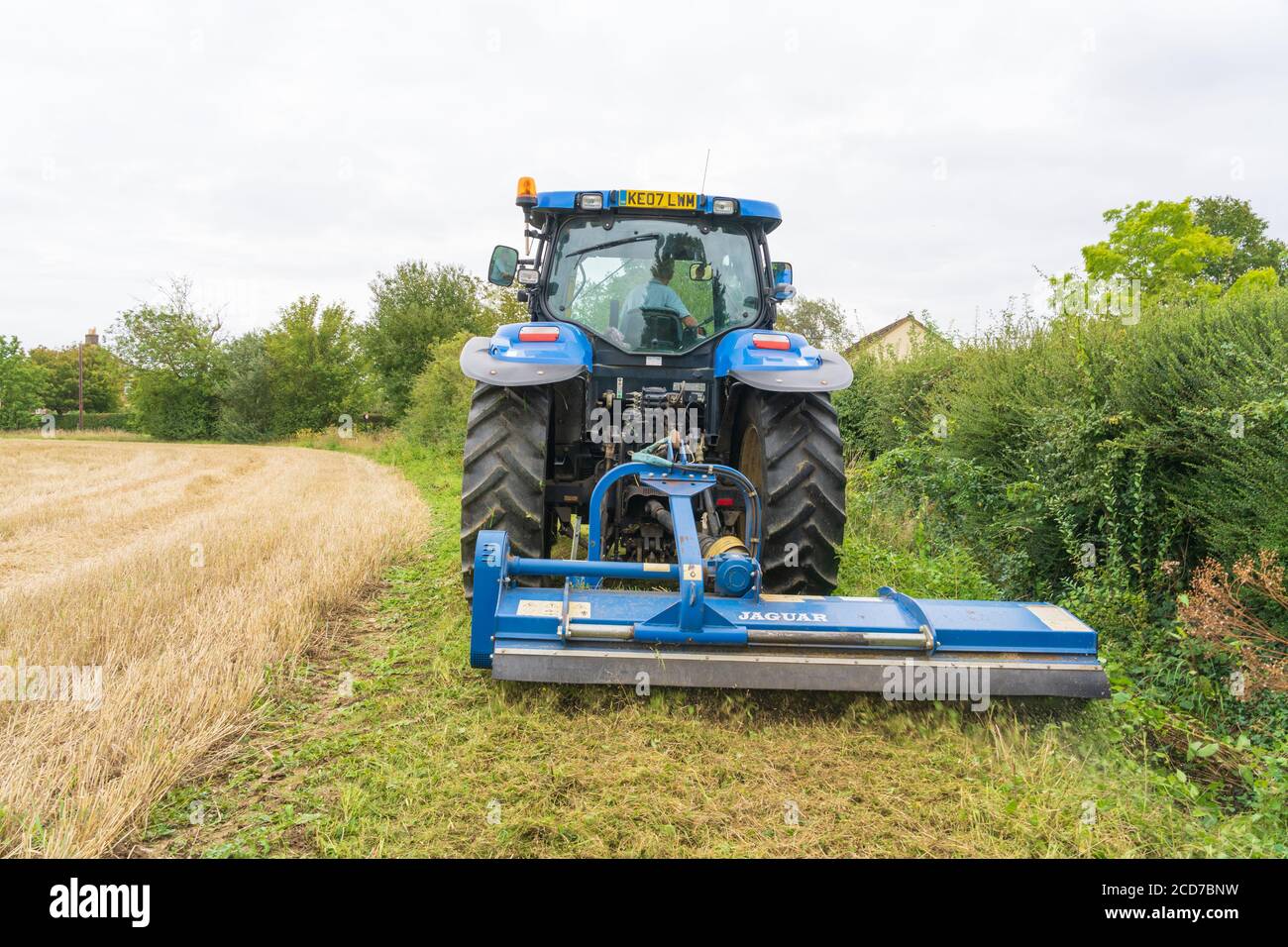 Coltivatore in un trattore falciando un'erba sul bordo di un campo in tarda estate. Molto Hadham, Hertfordshire, Inghilterra. REGNO UNITO Foto Stock